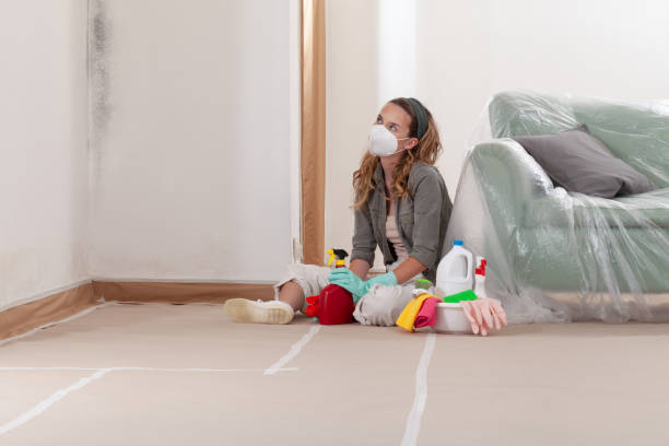 Reliable Mold Remediation contractor in Katy, TX by Cheap Mold Removal